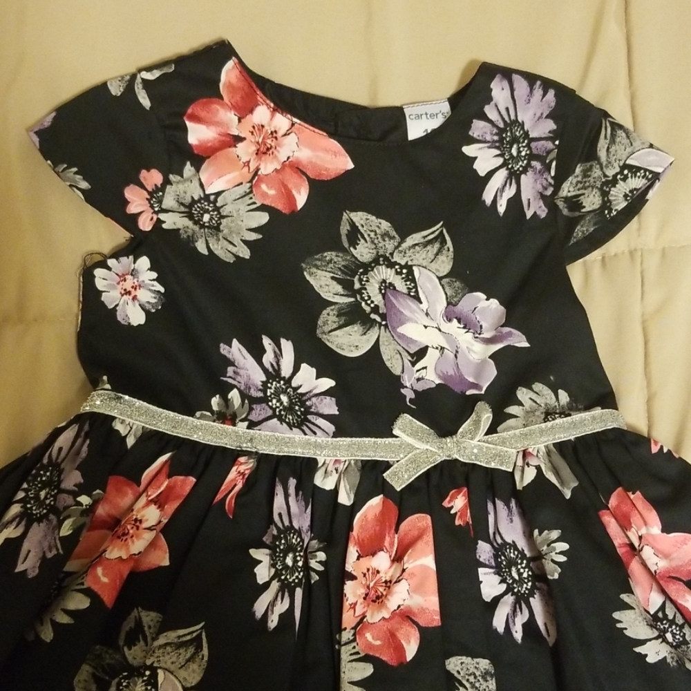 Carter's Dress - Picture 2 of 4